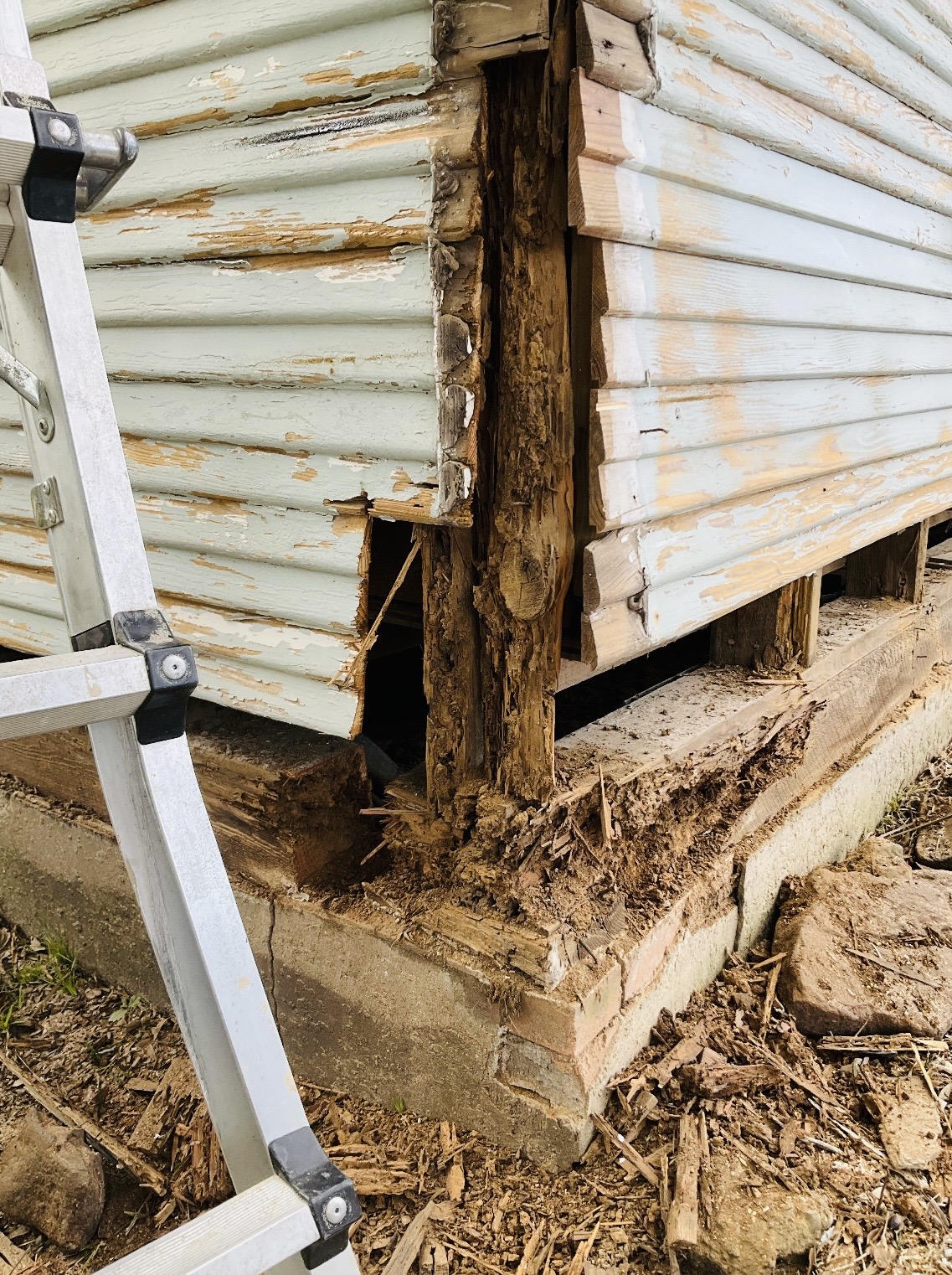 Termite damage — before